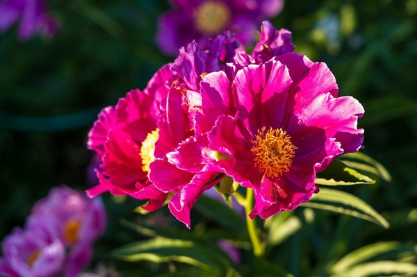 Adoptez un mode de vie durable avec des accessoires zéro déchet